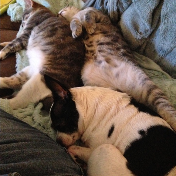 Meet your Posher, Kristina - Picture 3 of 4